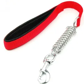 Durable Dog Leash for Large Dogs - Padded Nylon and Leather