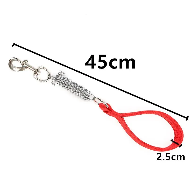 Durable Dog Leash for Large Dogs - Padded Nylon and Leather