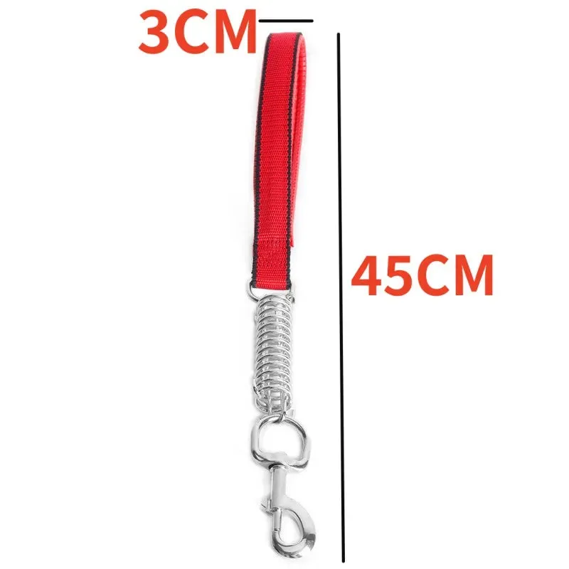Durable Dog Leash for Large Dogs - Padded Nylon and Leather