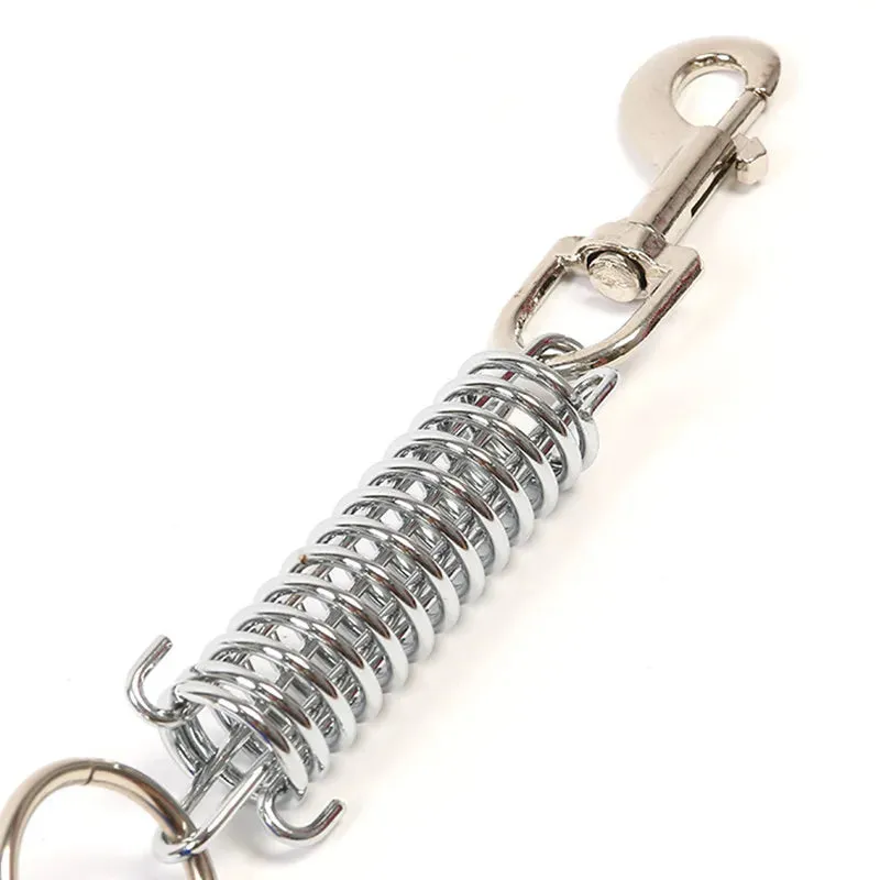 Durable Dog Leash for Large Dogs - Padded Nylon and Leather