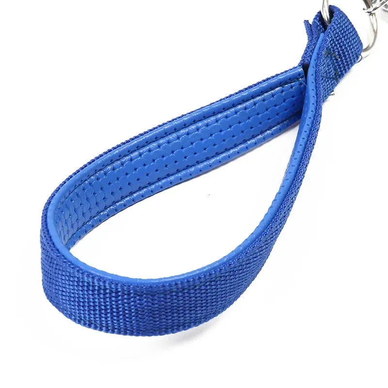 Durable Dog Leash for Large Dogs - Padded Nylon and Leather