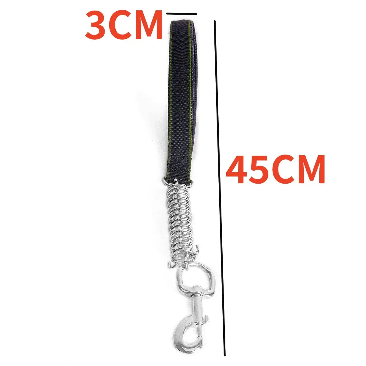 Durable Dog Leash for Large Dogs - Padded Nylon and Leather