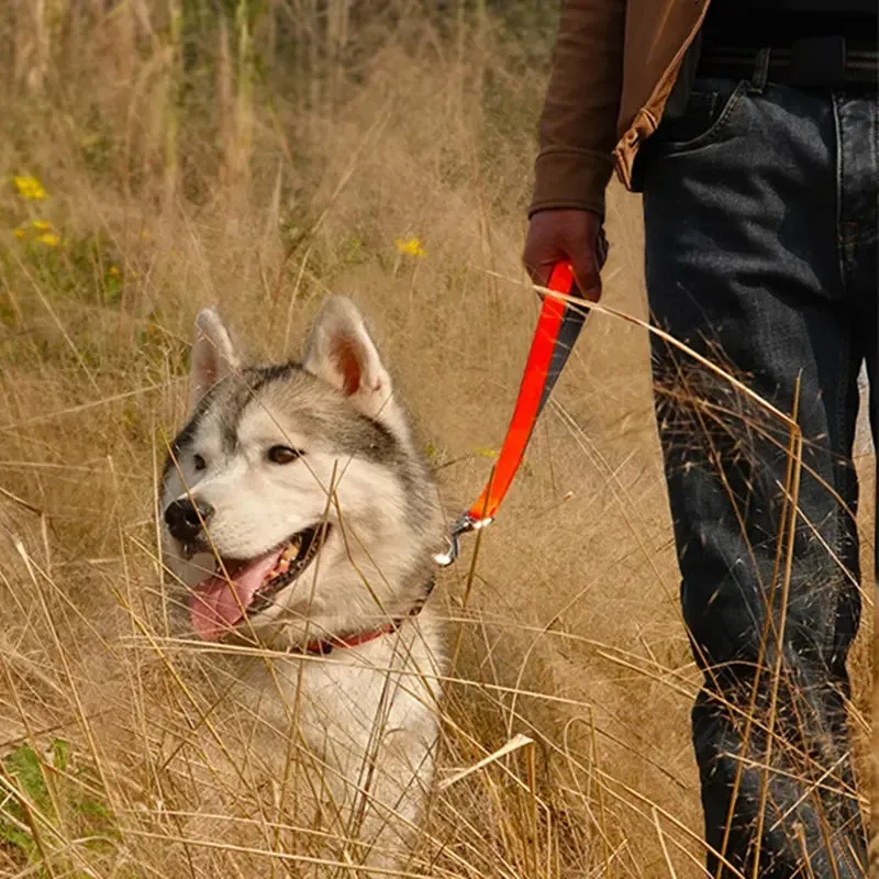 Durable Dog Leash for Large Dogs - Padded Nylon and Leather