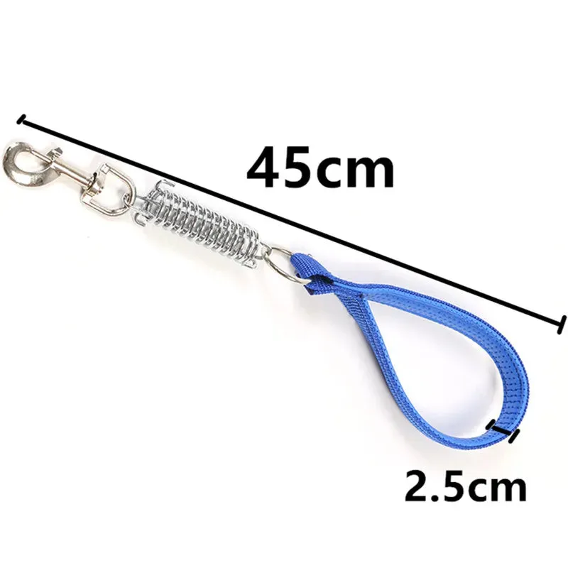 Durable Dog Leash for Large Dogs - Padded Nylon and Leather
