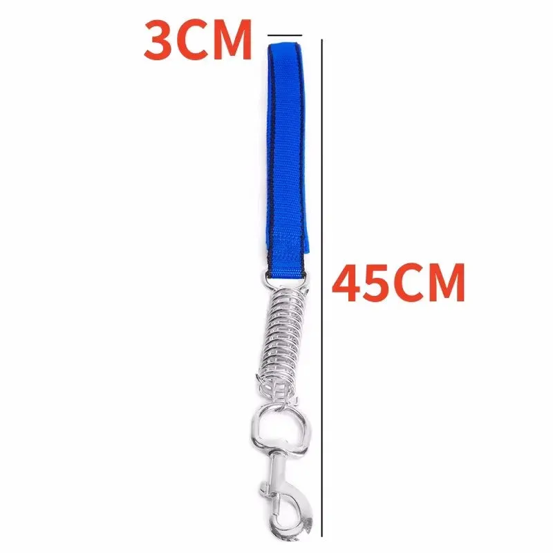 Durable Dog Leash for Large Dogs - Padded Nylon and Leather