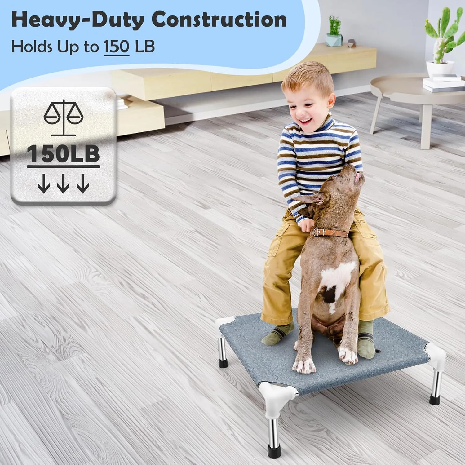 Elevated Dog Bed for Small Dogs, Outdoor Cooling Dog Bed Cot for Small Pets, Indoor Detachable Raised Dog Bed with Non-Slip Feet, Double Layer Polyester Cotton