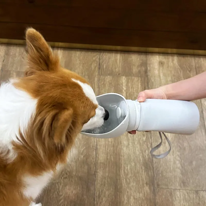 Foldable Dog Water Bottle
