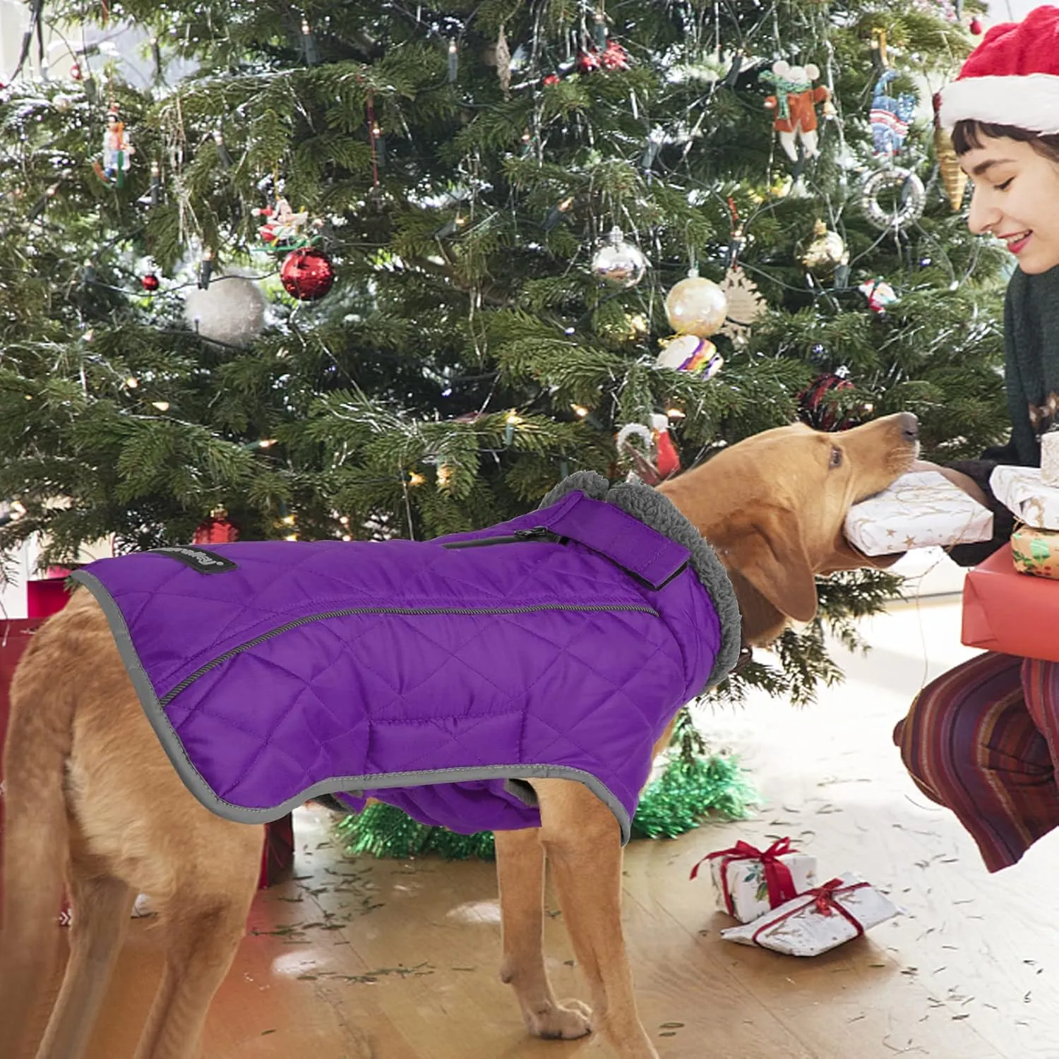 Fragralley Winter Coat Jacket, Windproof & Waterproof, Adjustable Dog Jacket, Turtleneck Clothes, Fleece Doggie Vest for Cold Weather