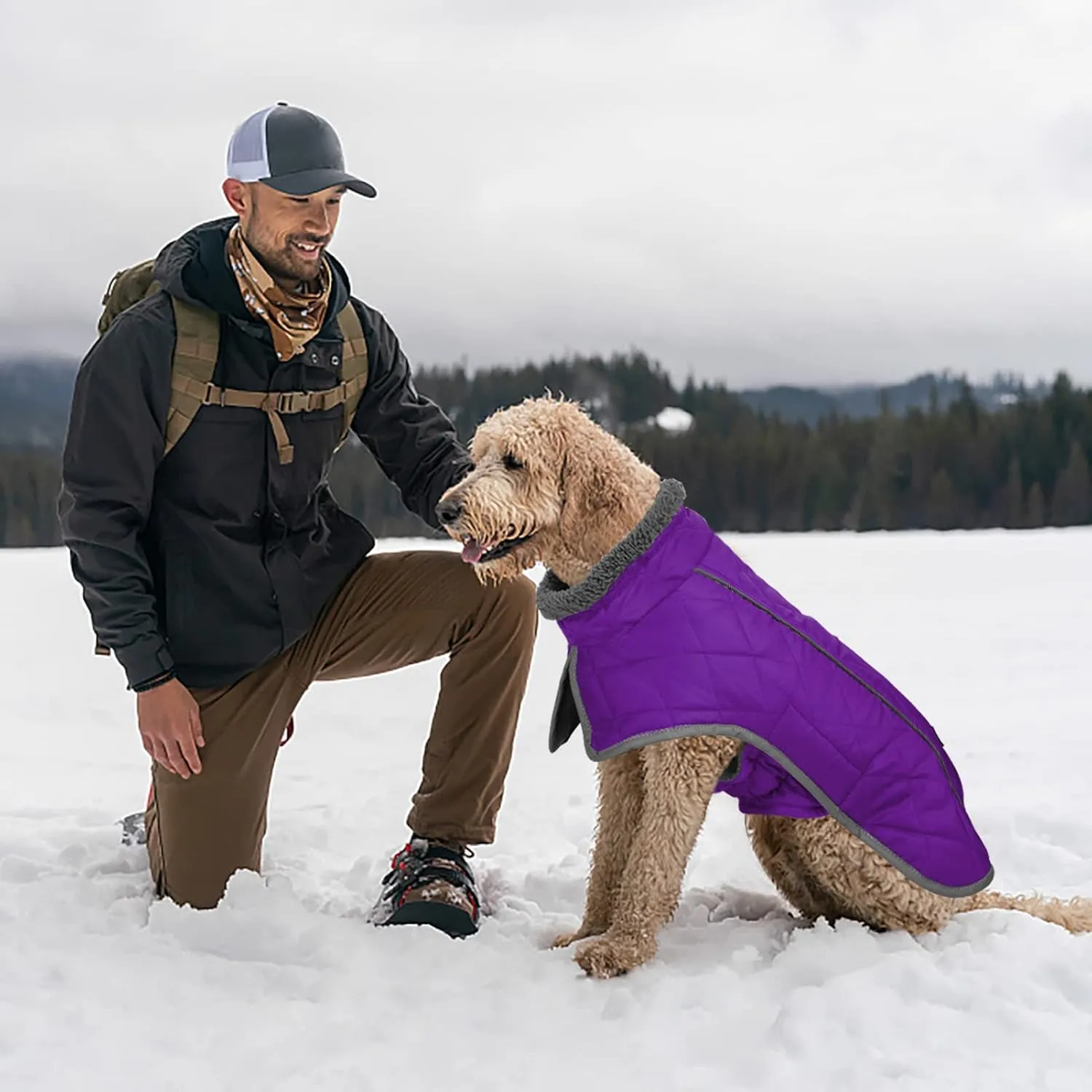 Fragralley Winter Coat Jacket, Windproof & Waterproof, Adjustable Dog Jacket, Turtleneck Clothes, Fleece Doggie Vest for Cold Weather