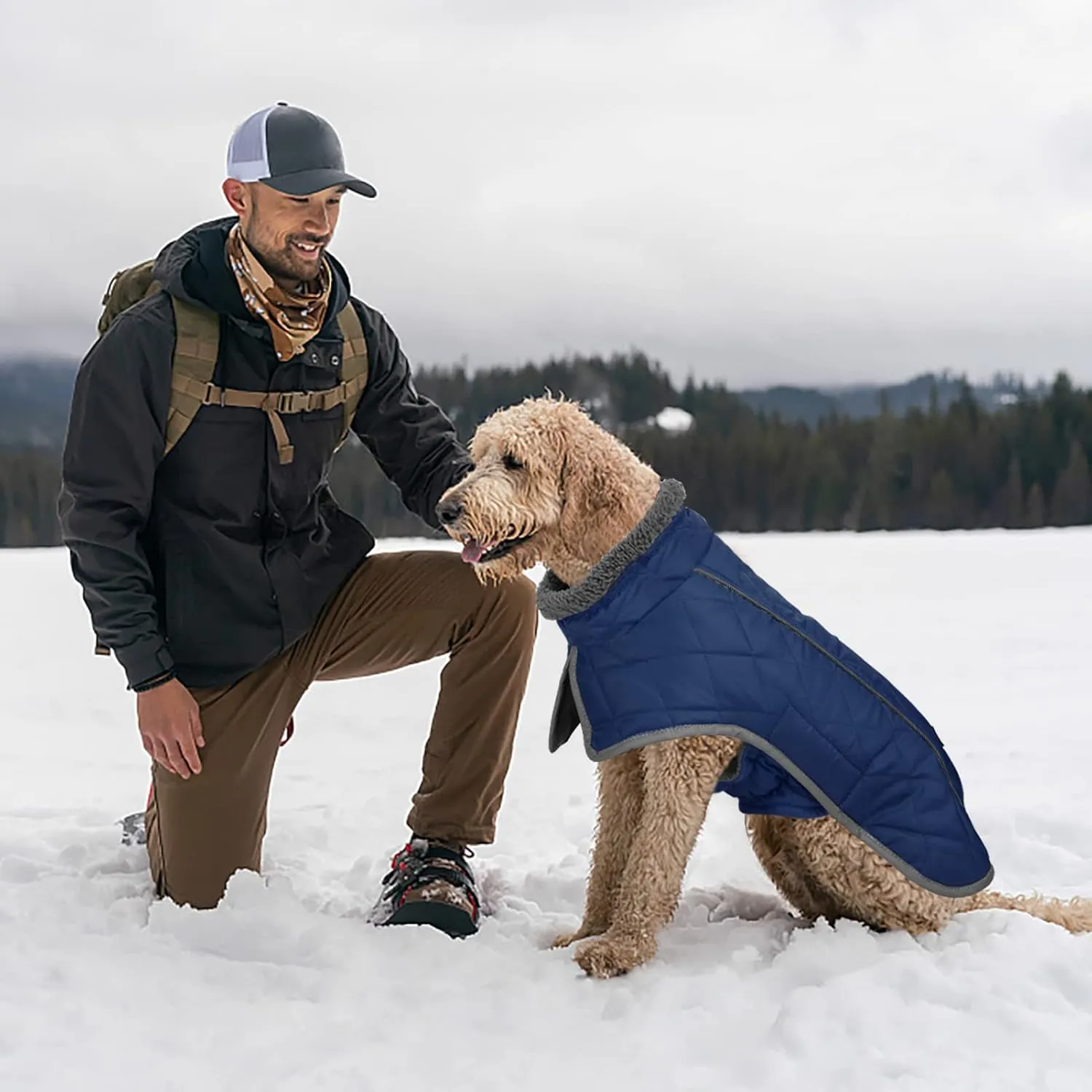 Fragralley Winter Coat - Windproof, Adjustable, Waterproof, Turtleneck Fleece Jacket for Dogs in Cold Weather (Blue, S)