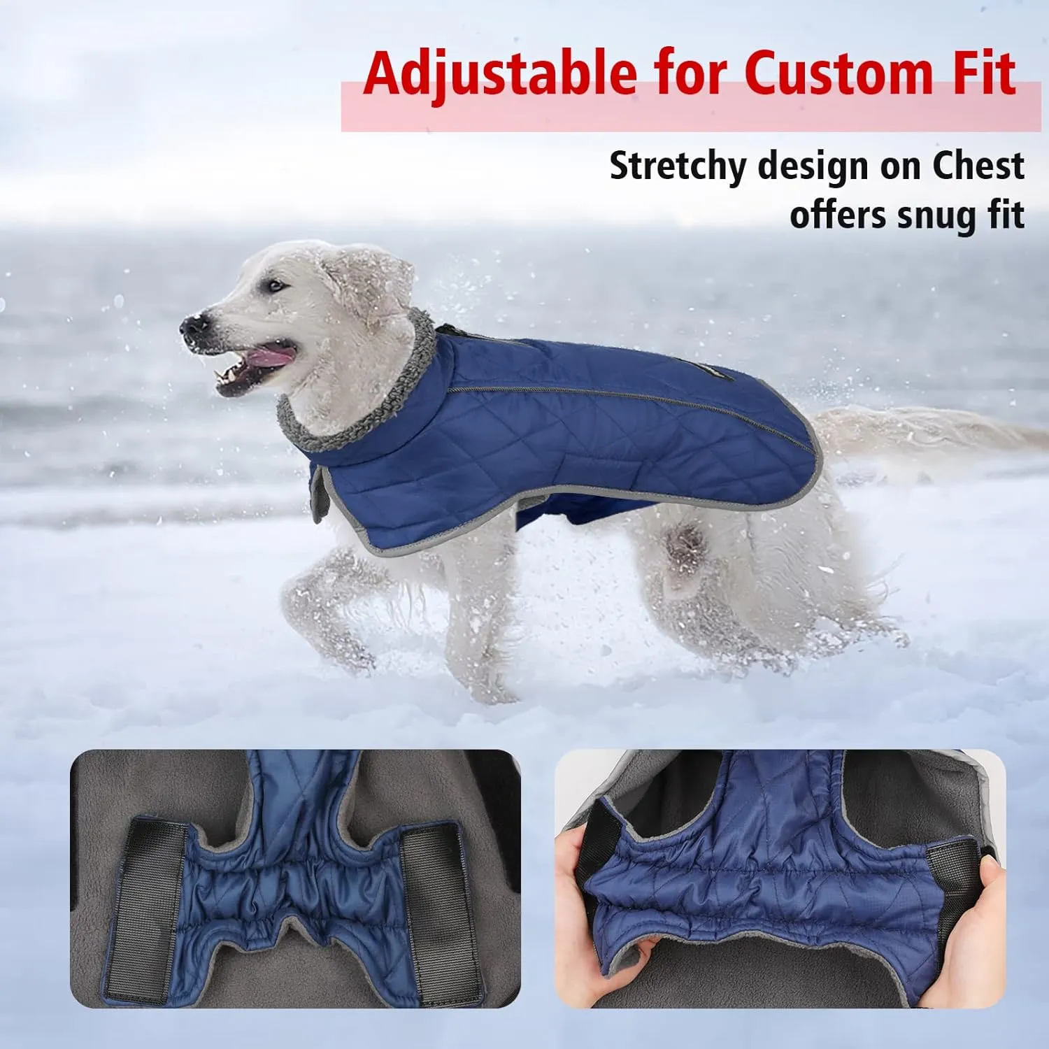 Fragralley Winter Coat - Windproof, Adjustable, Waterproof, Turtleneck Fleece Jacket for Dogs in Cold Weather (Blue, S)