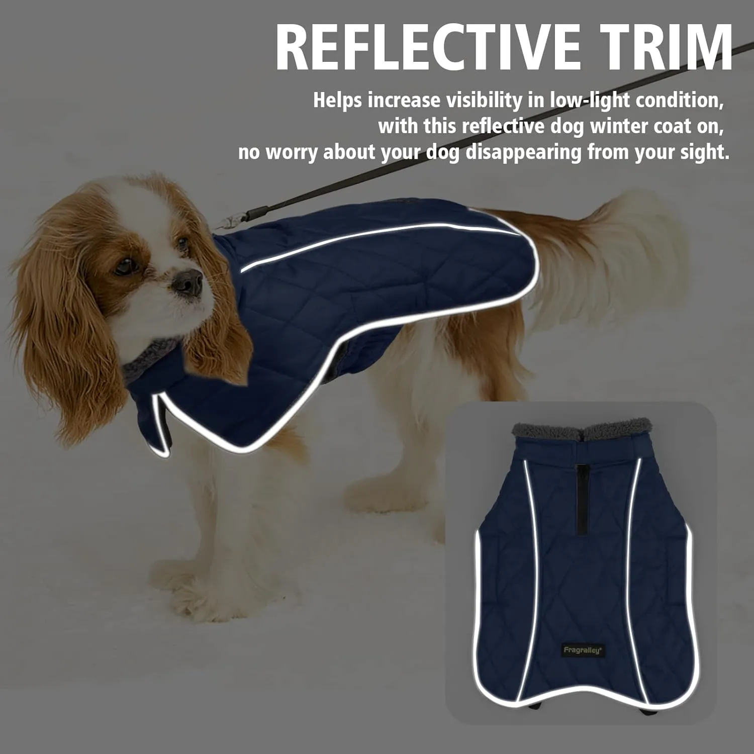 Fragralley Winter Coat - Windproof, Adjustable, Waterproof, Turtleneck Fleece Jacket for Dogs in Cold Weather (Blue, S)