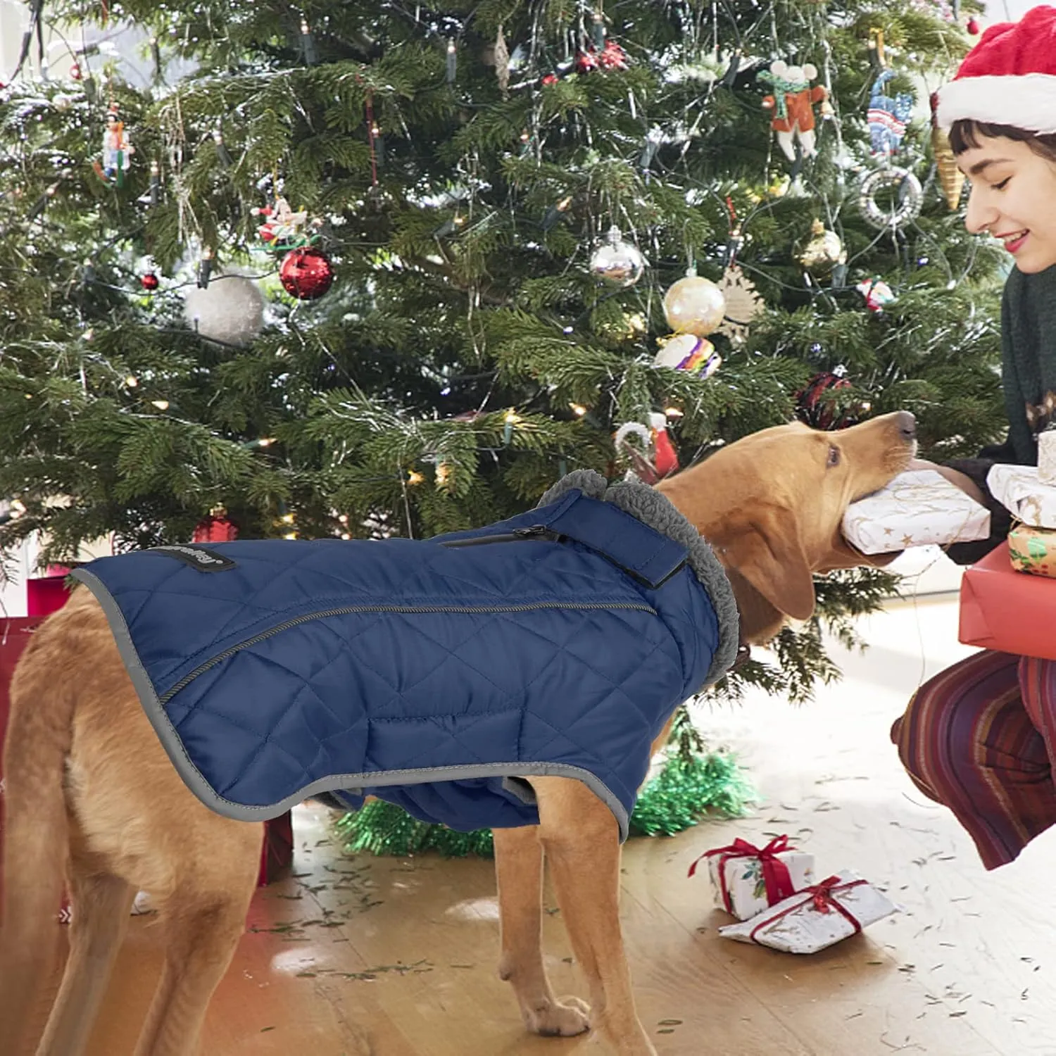 Fragralley Winter Coat - Windproof, Adjustable, Waterproof, Turtleneck Fleece Jacket for Dogs in Cold Weather (Blue, S)