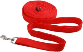 GALPADA Red Nylon Pet Training Leash for Cats and Puppies Durable with Ring and Clasp for Obedience Training and Walking