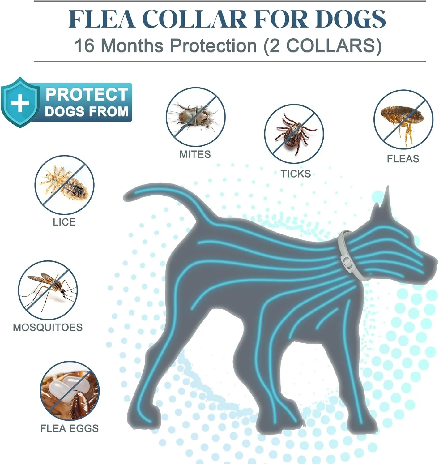 Glovv 2 Pack Highly Effective Flea Collar for Dogs, Tick Control Provides Up to 16 Months of Dog Collar, Comfortable Flea and Tick Prevention Collars