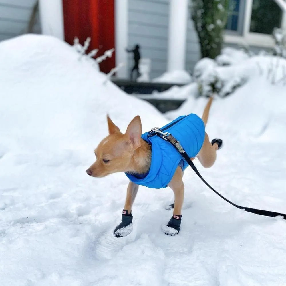 Gooby Puffer Vest Dog Jacket - Blue, Small - Ultra Thin Zip Up Wind Breaker with Dual D Ring Leash - Water Resistant Small Dog Sweater Coat - Dog Clothes for Small Dogs Boy or Medium Dogs