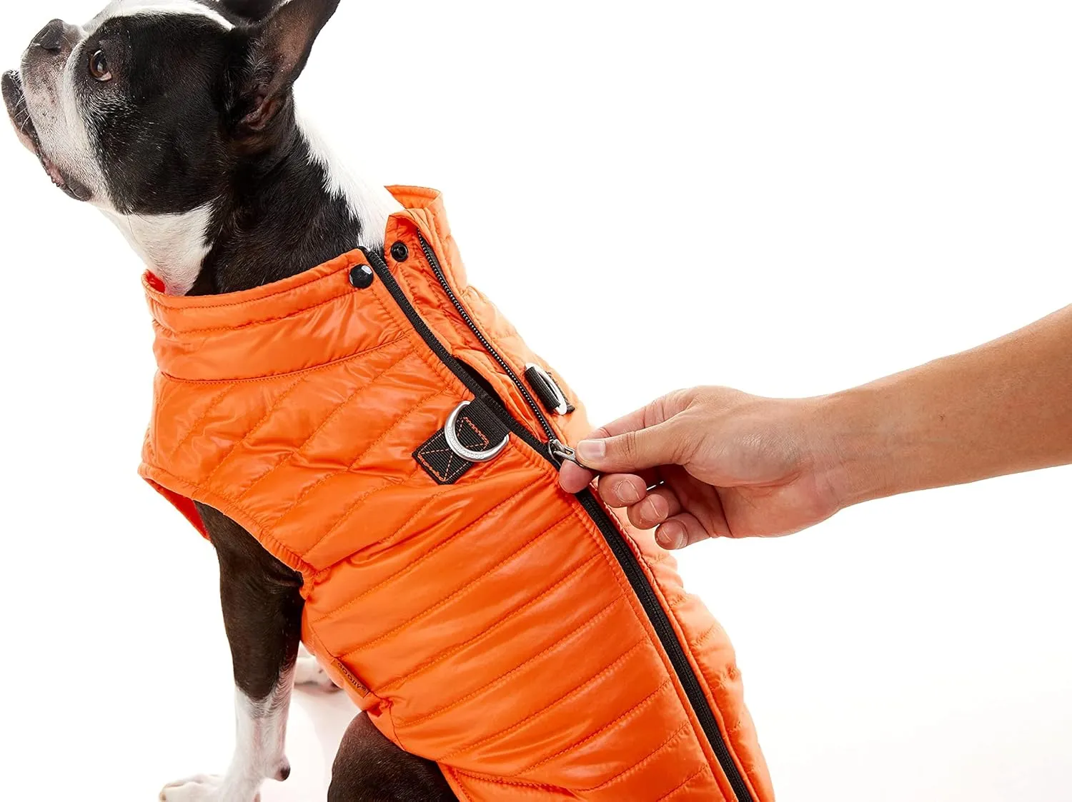 Gooby Puffer Vest Dog Jacket - Blue, Small - Ultra Thin Zip Up Wind Breaker with Dual D Ring Leash - Water Resistant Small Dog Sweater Coat - Dog Clothes for Small Dogs Boy or Medium Dogs