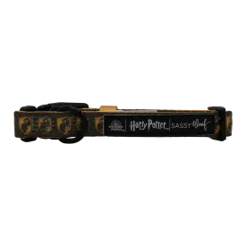 Hufflepuff Pet Collar - Sassy Woof