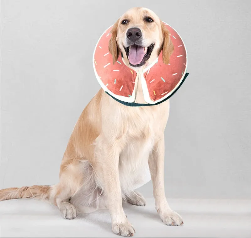 Inflatable Dog Collar: Isabelino Anti-bite Injury Elizabethan Collar for Dogs & Cats | Recovery Neck Wound Protective Dog Accessories