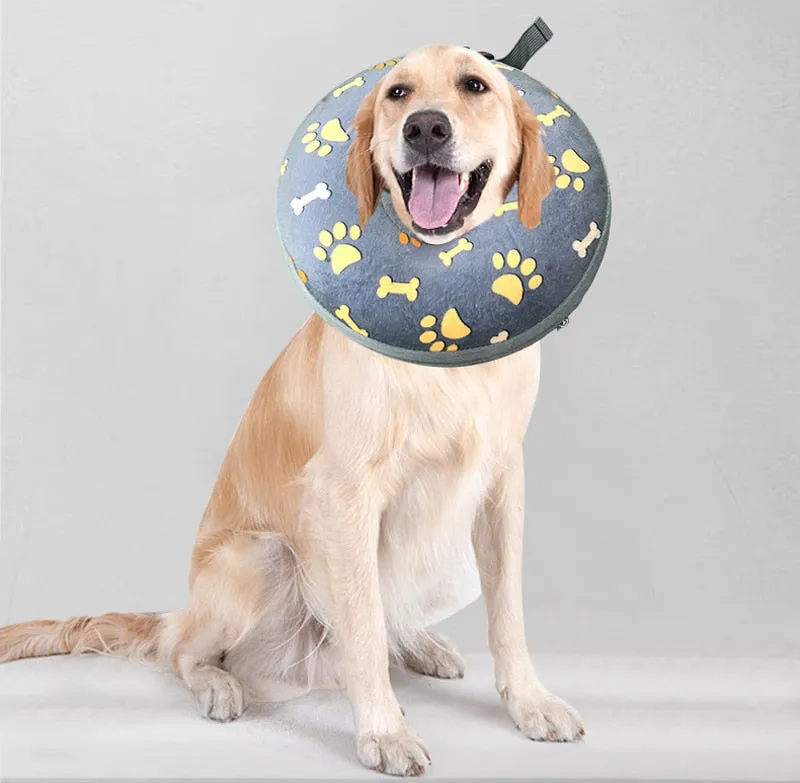Inflatable Dog Collar: Isabelino Anti-bite Injury Elizabethan Collar for Dogs & Cats | Recovery Neck Wound Protective Dog Accessories
