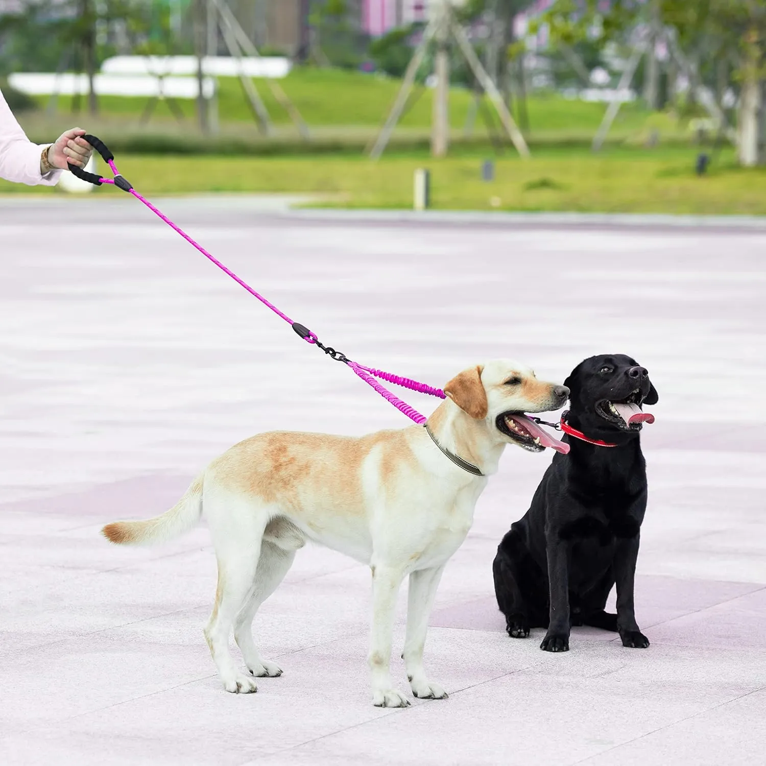 iYoShop Dual Dog Leash - 360 Swivel, No Tangle Walking Leash with Shock Absorbing Bungee for Two Dogs (Large, 25-150 lbs, Pink)