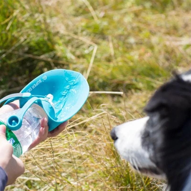 【LA000385】20 OZ Pet Water Bottle Leaf Design