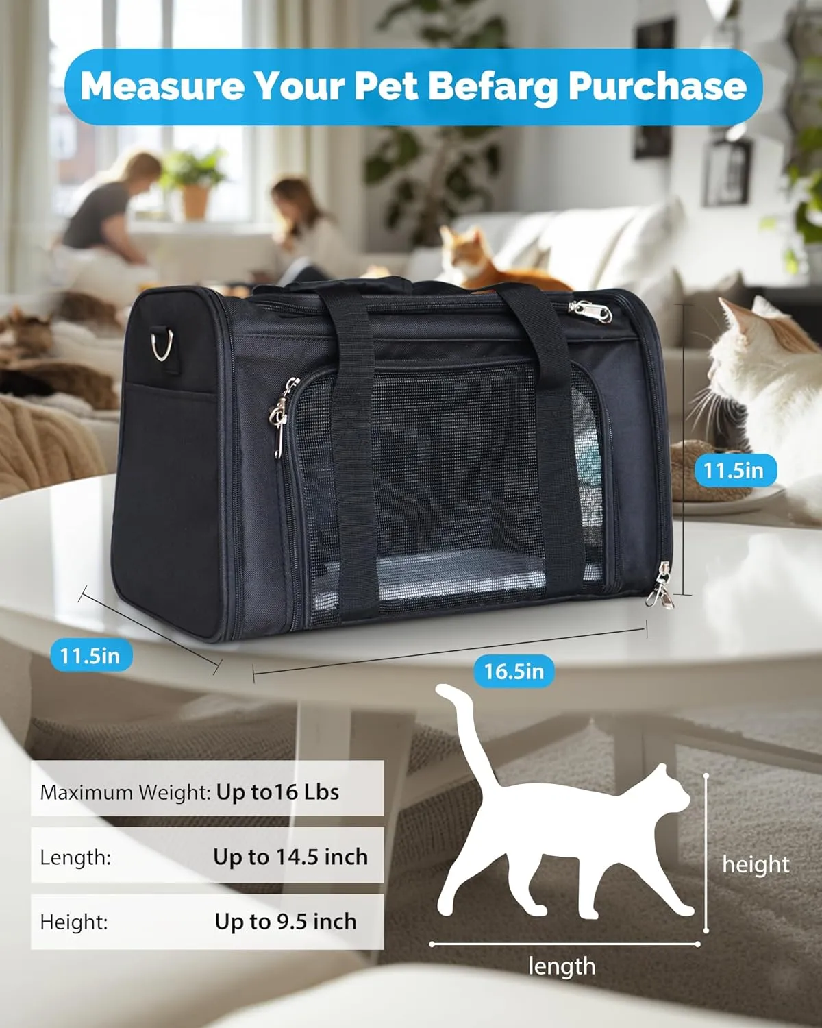 L&W BROS. Airline Approved Cat Carrier - Soft Sided Pet Travel Bag for Cats and Small Dogs Under 16 lbs TSA Approved Pet Carrier in Cabin (Black)