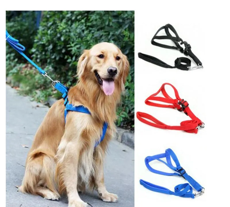 Large Dog Harness w/ Leash Set Wholesale