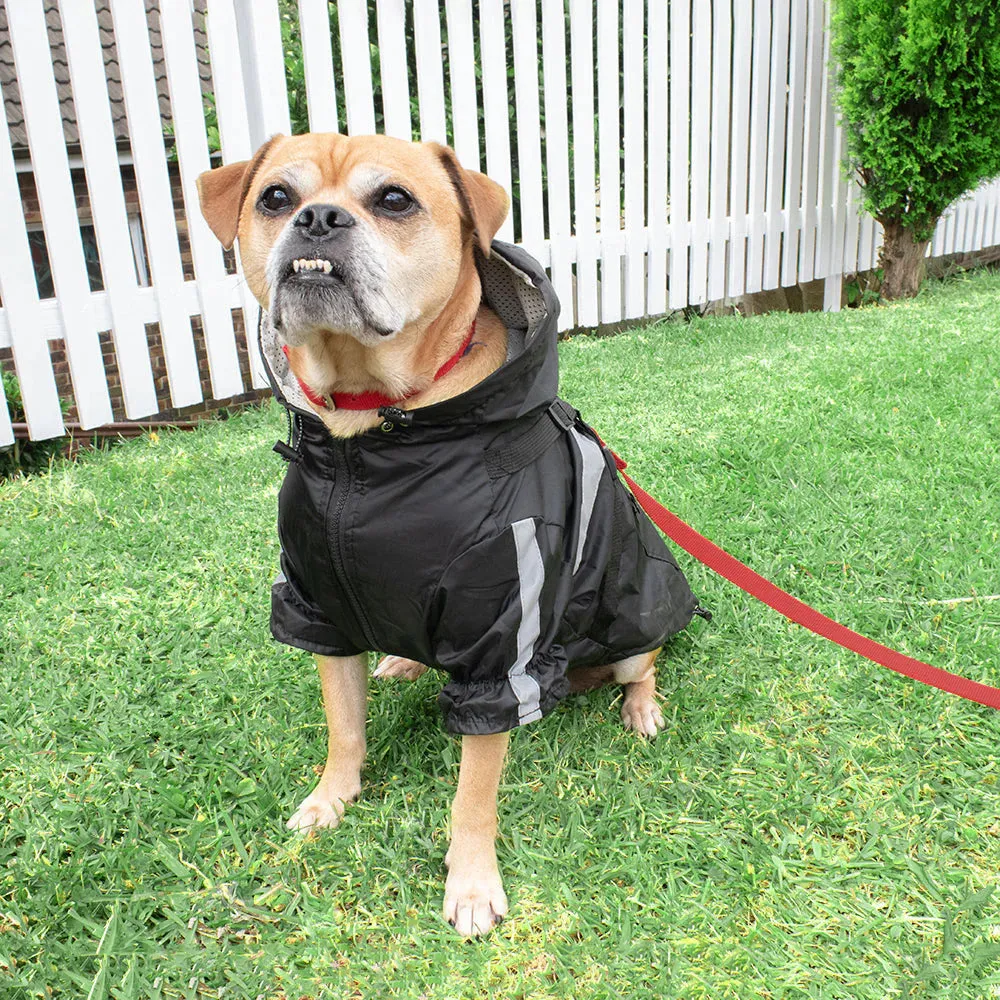 Louie Living | Black Dog Raincoat