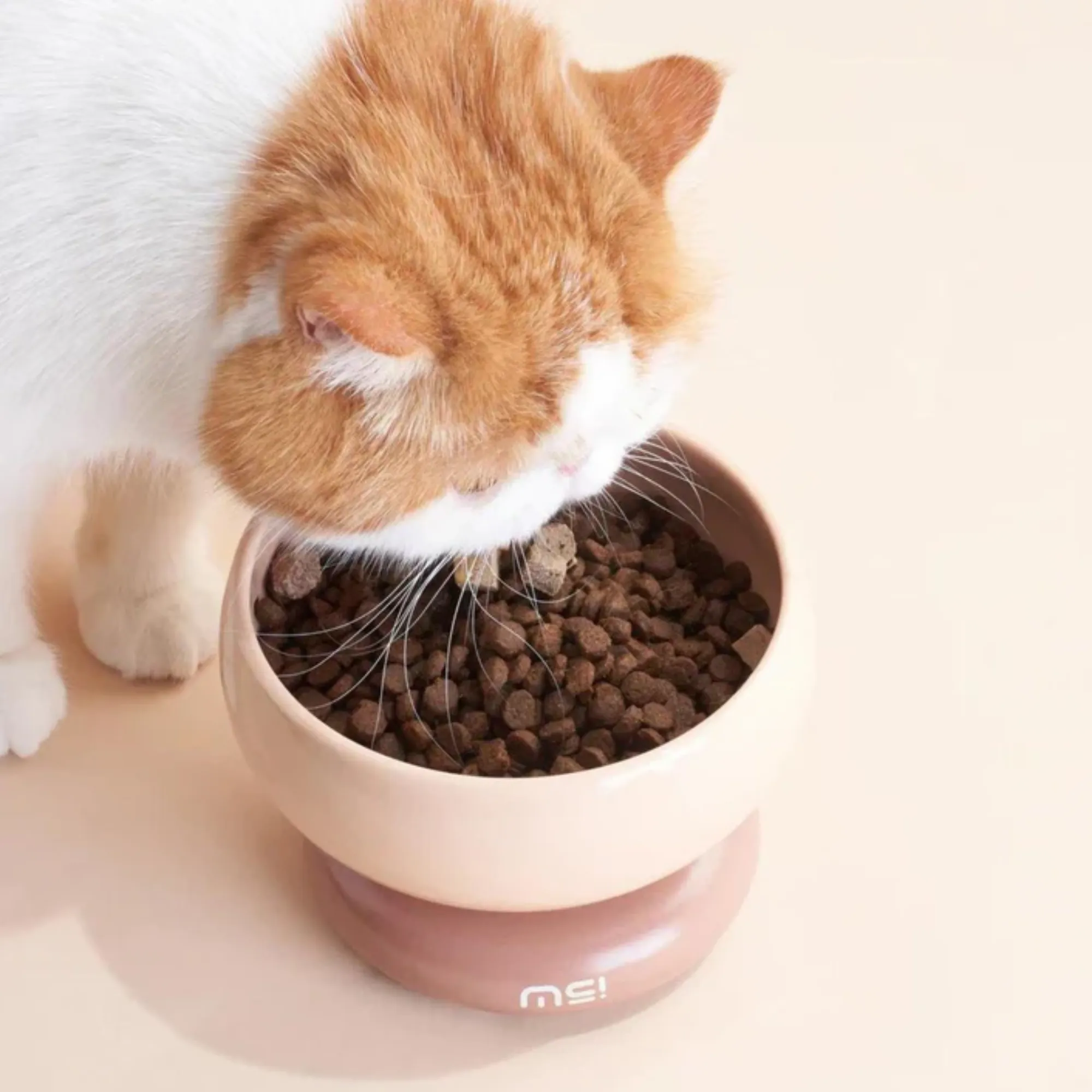 Makesure Calorie Pet Bowl Brown