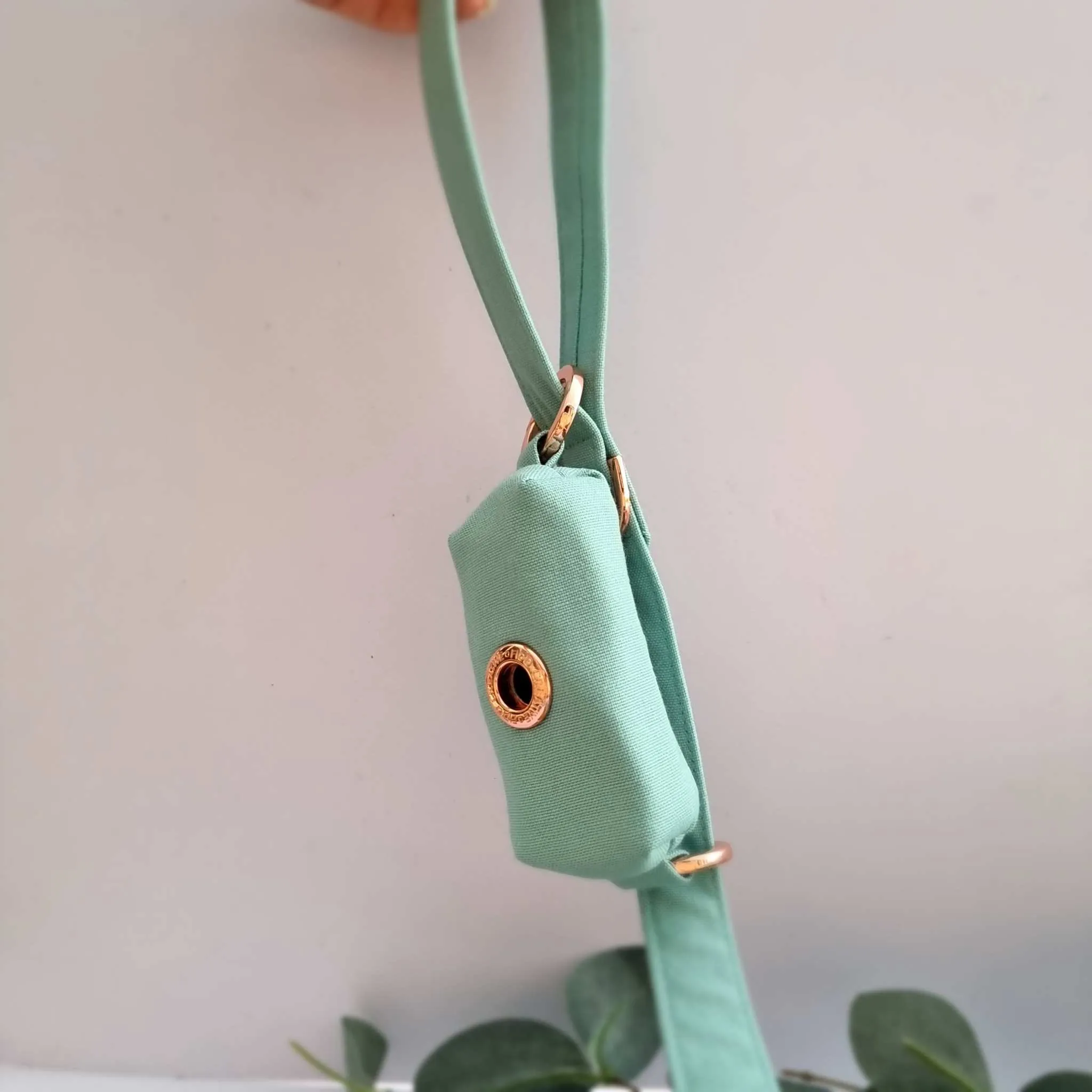 Mint dog leash