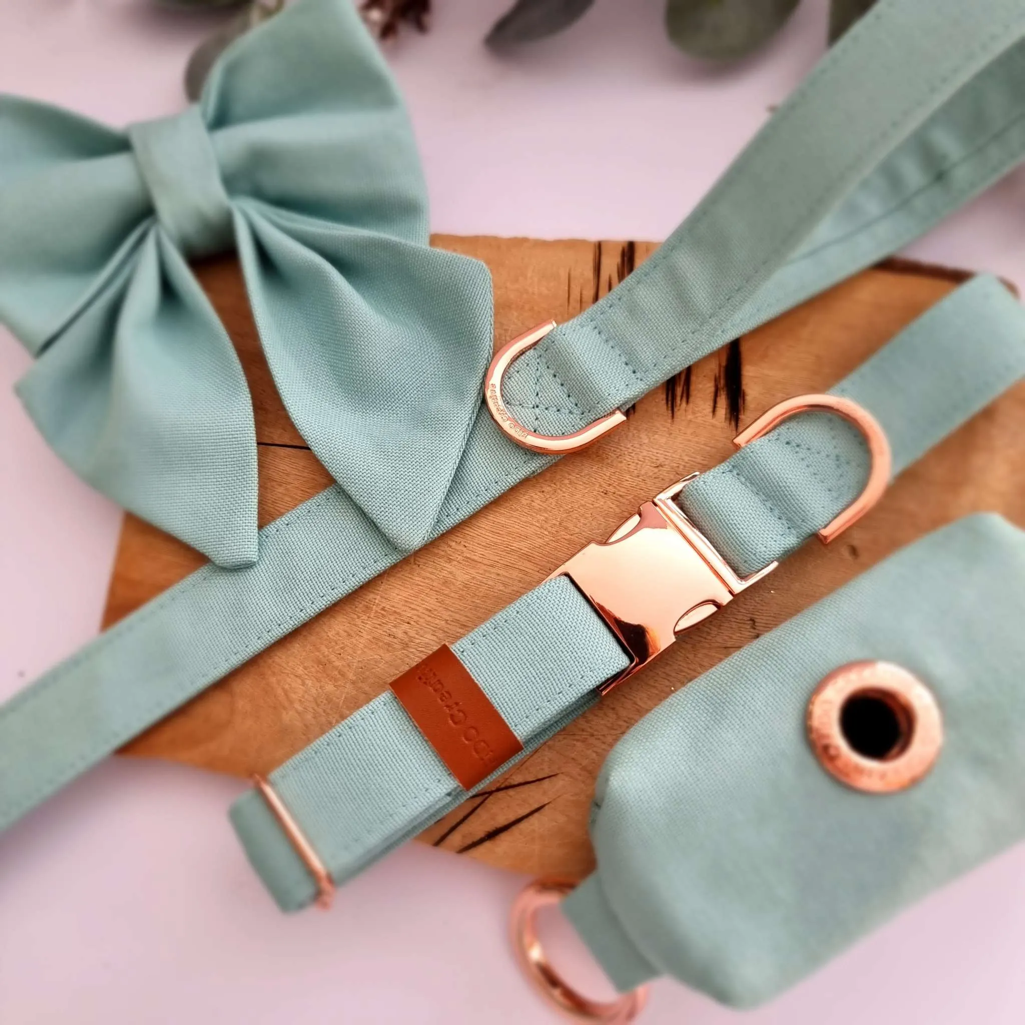Mint dog leash