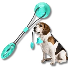 Molar Dog Pull Toy