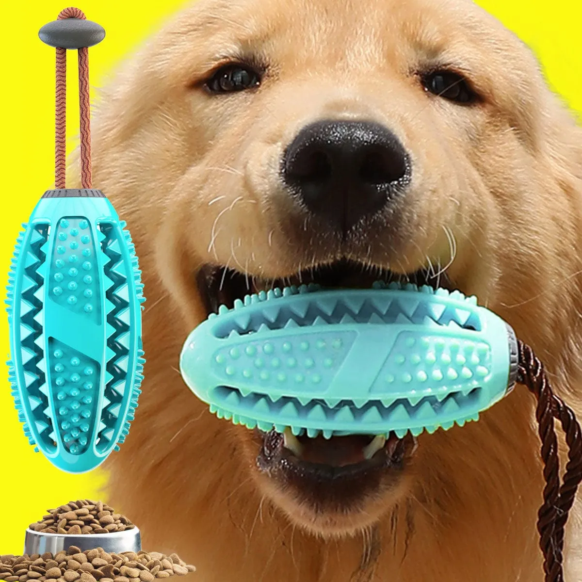 Molar Dog Pull Toy