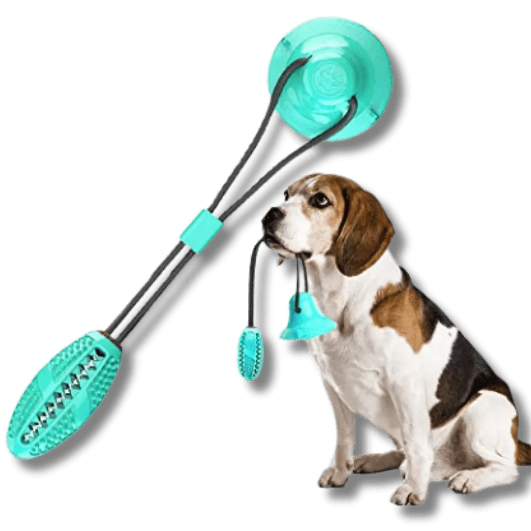 Molar Dog Pull Toy