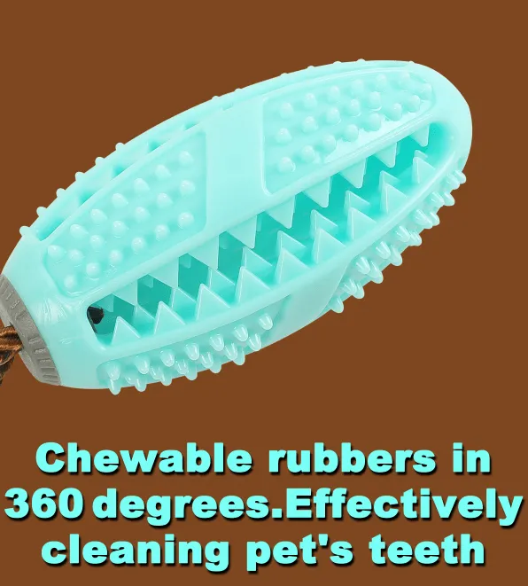 Molar Dog Pull Toy