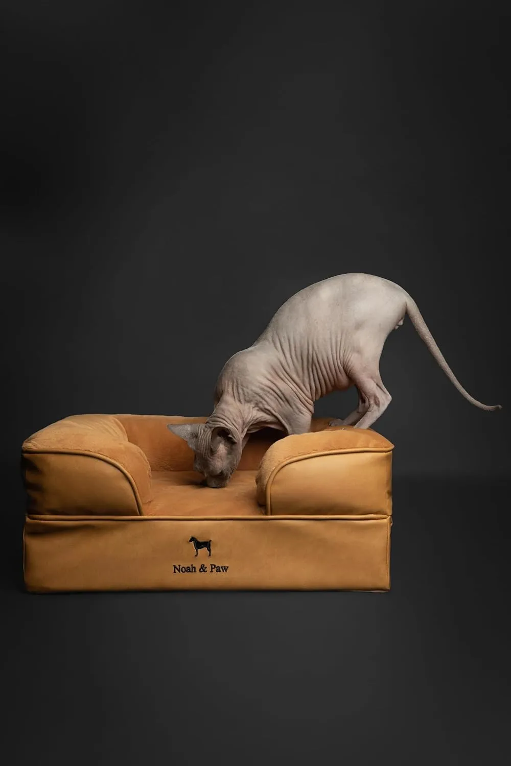 NOAH & PAW Small Dog Bed, 20x15x8 Inch, Cat Bed for Indoor Cats, Orthopedic Eggshell Memory Foam Infused with Cooling Gel, Waterproof Inner Cover Machine Washable (Faux Leather Collection)