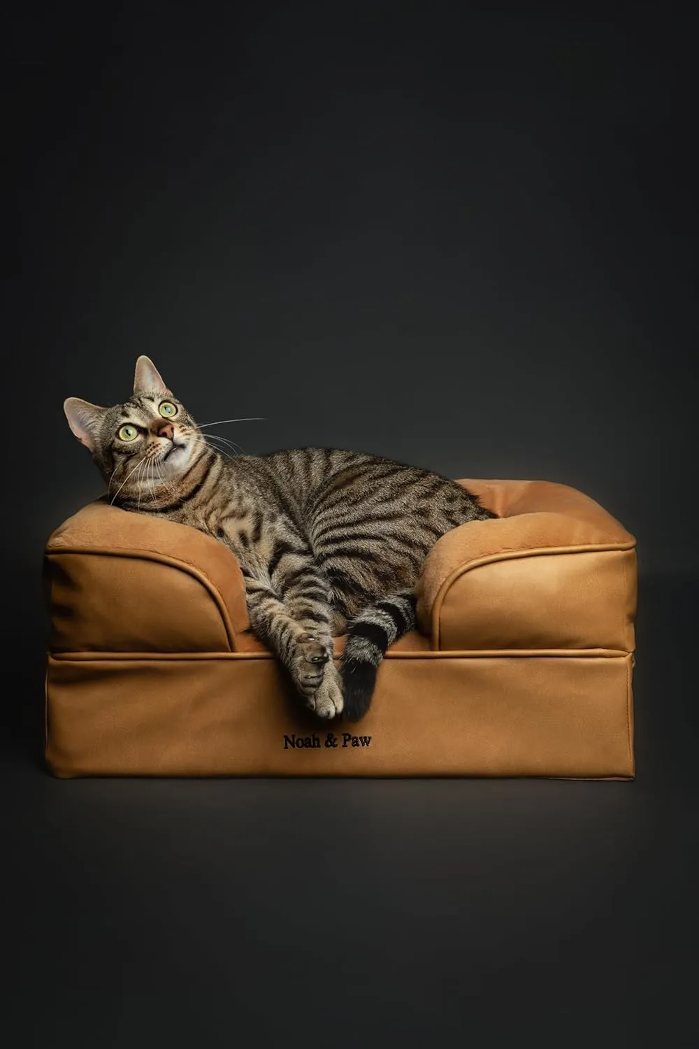 NOAH & PAW Small Dog Bed, 20x15x8 Inch, Cat Bed for Indoor Cats, Orthopedic Eggshell Memory Foam Infused with Cooling Gel, Waterproof Inner Cover Machine Washable (Faux Leather Collection)
