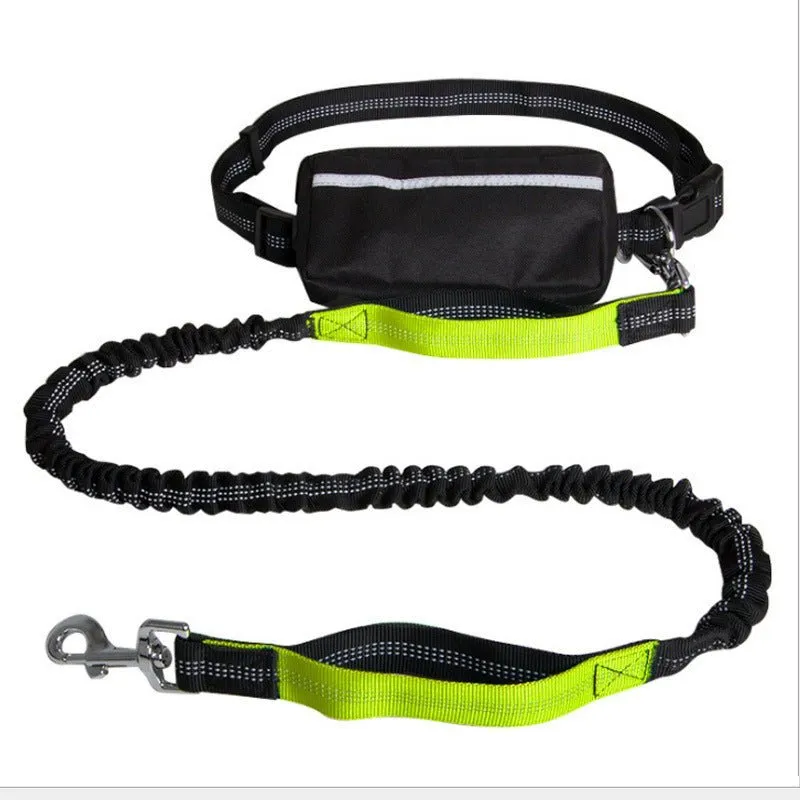 Nylon Reflective Retractable Dog Leash With Waist Belt For Hands Free User Experience