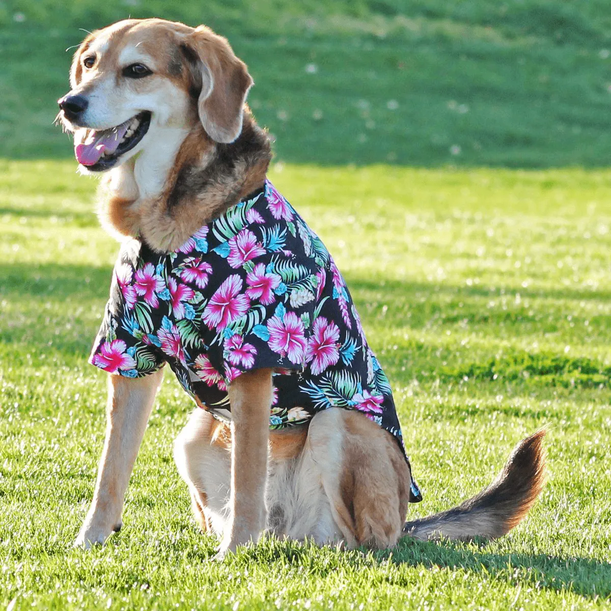 Paradise Nights Camp Dog Shirt