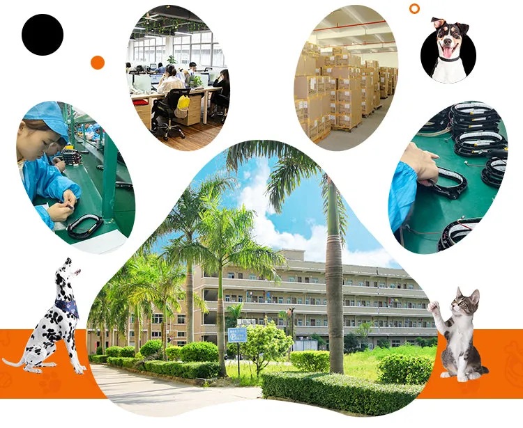 PAWS ASIA Suppliers Low Moq Wish New Outdoor 550ML Plastic Portable Preform Pet Travel Water Bottle For Dogs