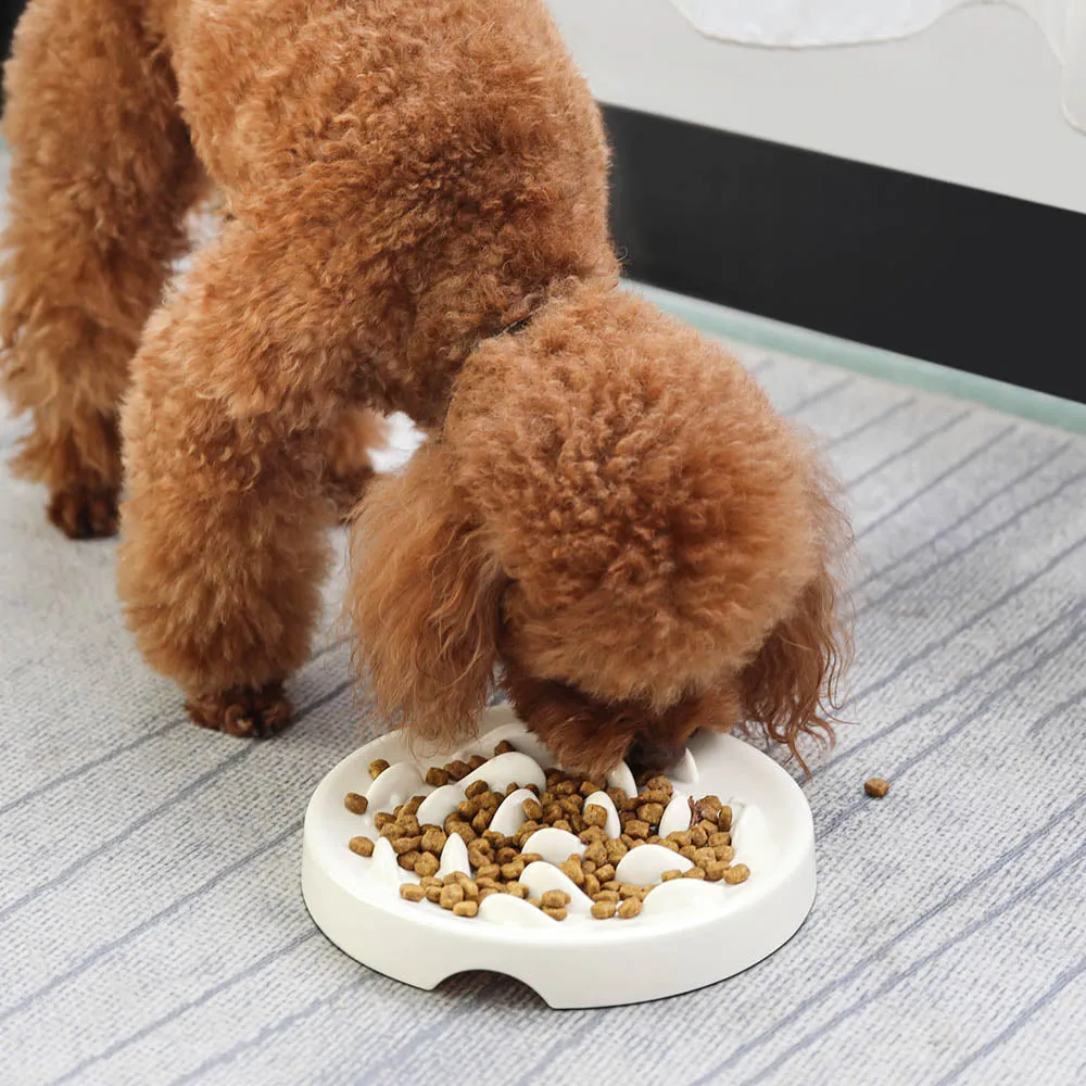 PAWS ASIA Wholesale Melamine Modern Non Slip Portable Slow Eating Pet Lick Dog Plates Cat Bowls