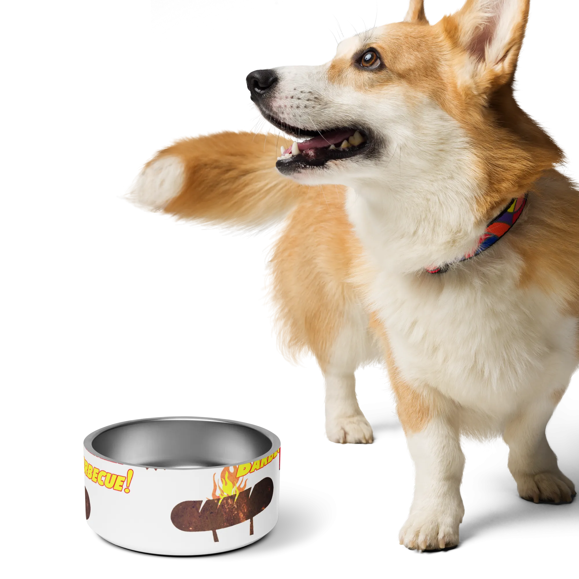 Pet bowl