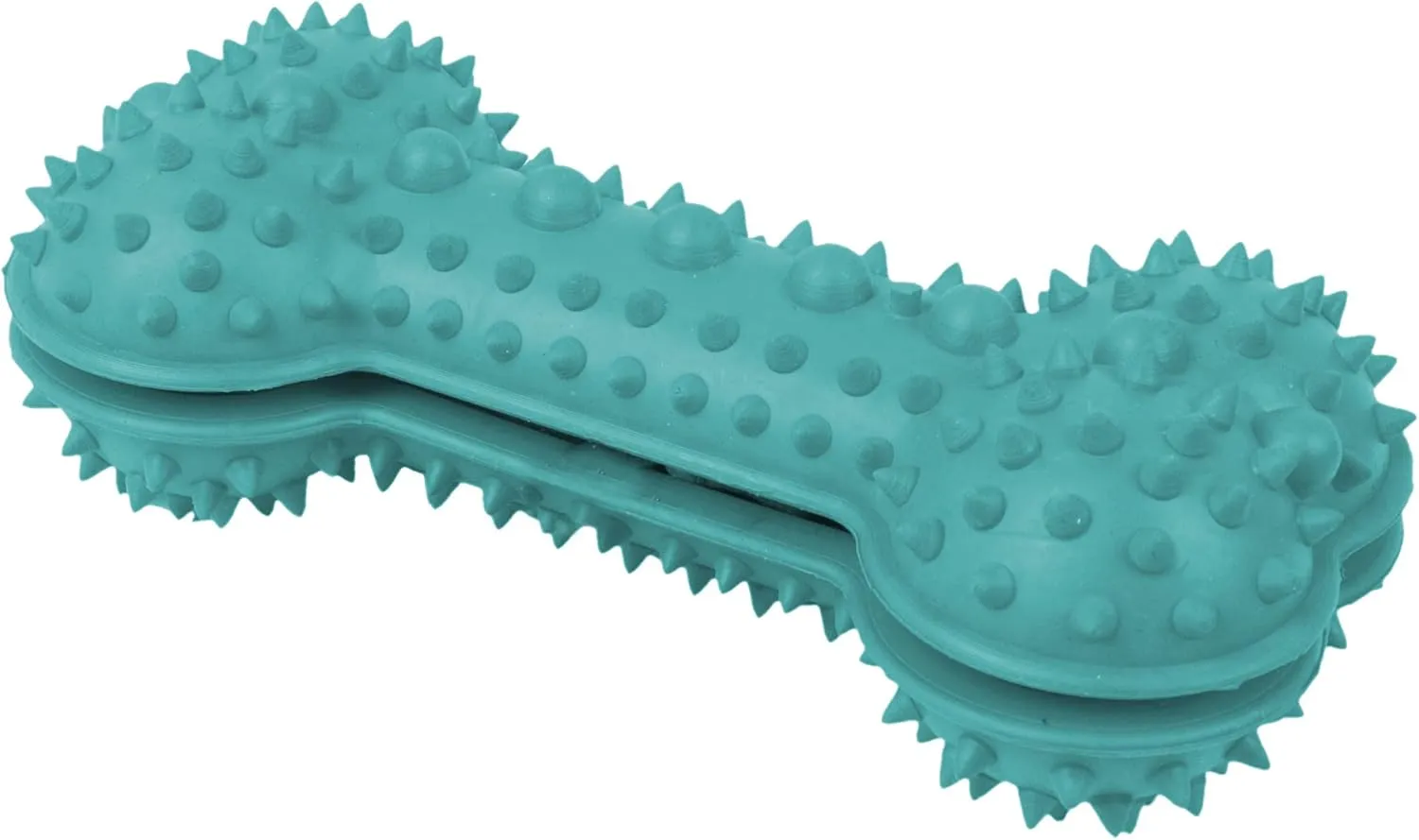 Pet Life  'Denta-Bone' TPR Treat Dispensing and Dental Cleaning Durable Dog Toy