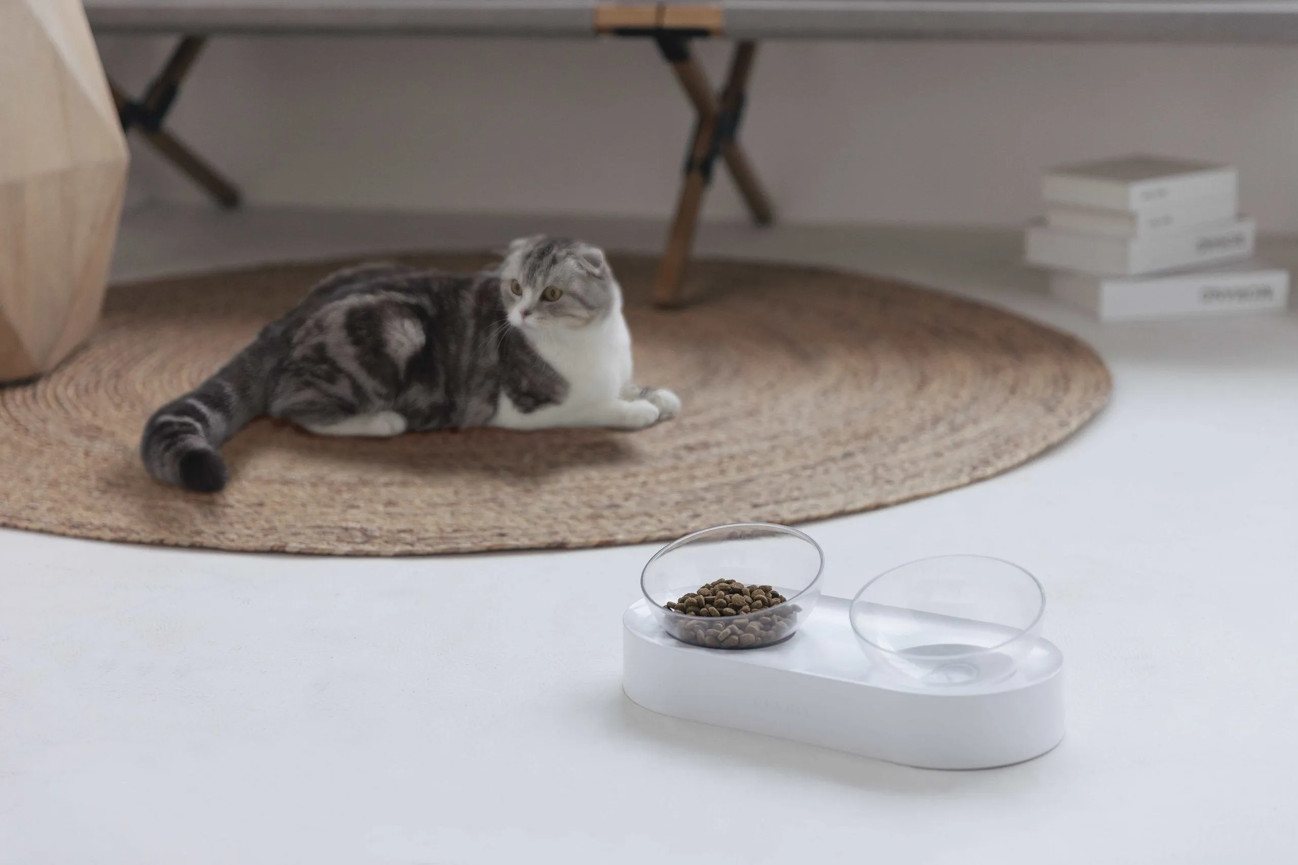 PETKIT Adjustable Feeding Bowl [Double]