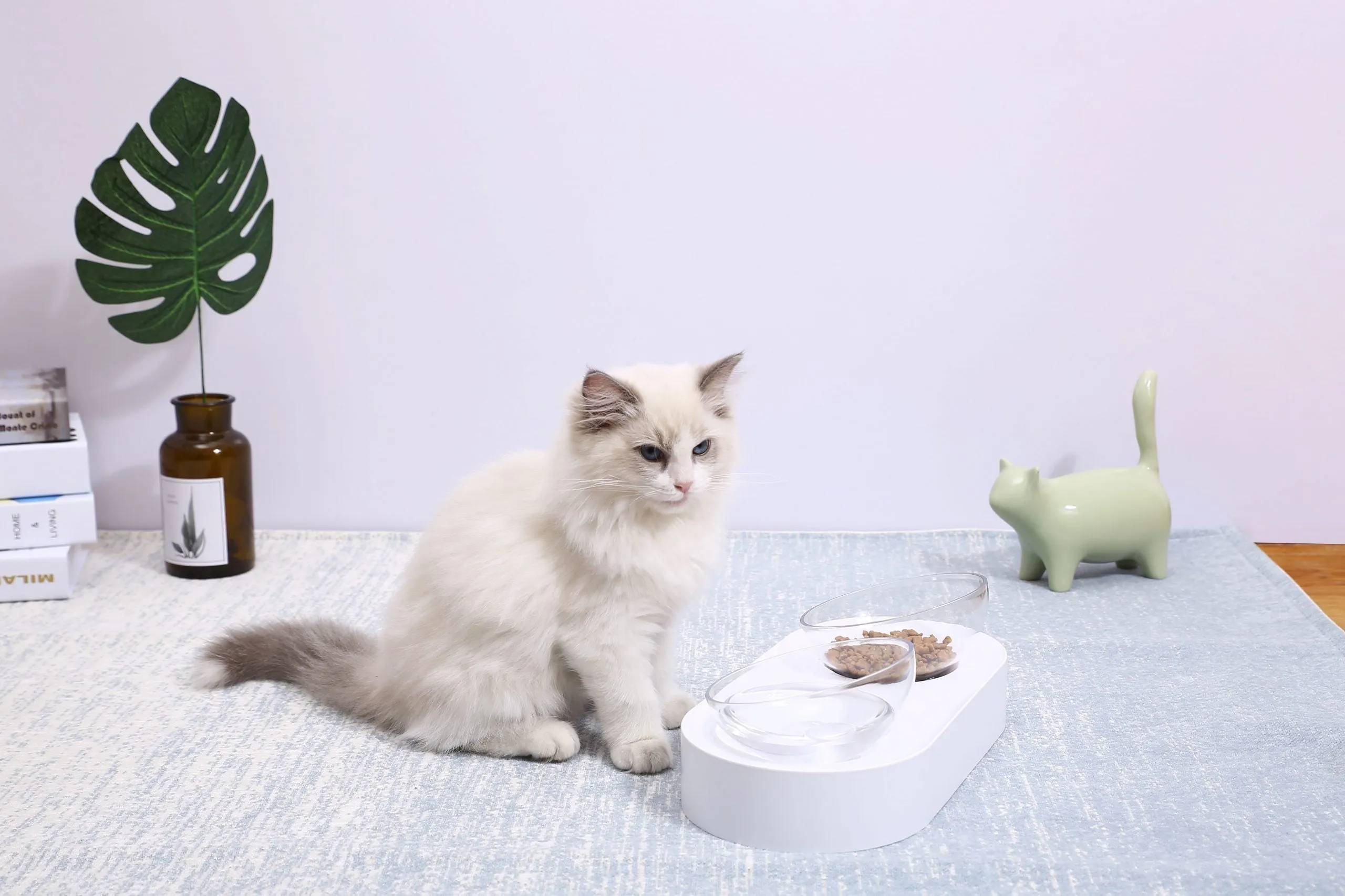 PETKIT Adjustable Feeding Bowl [Double]