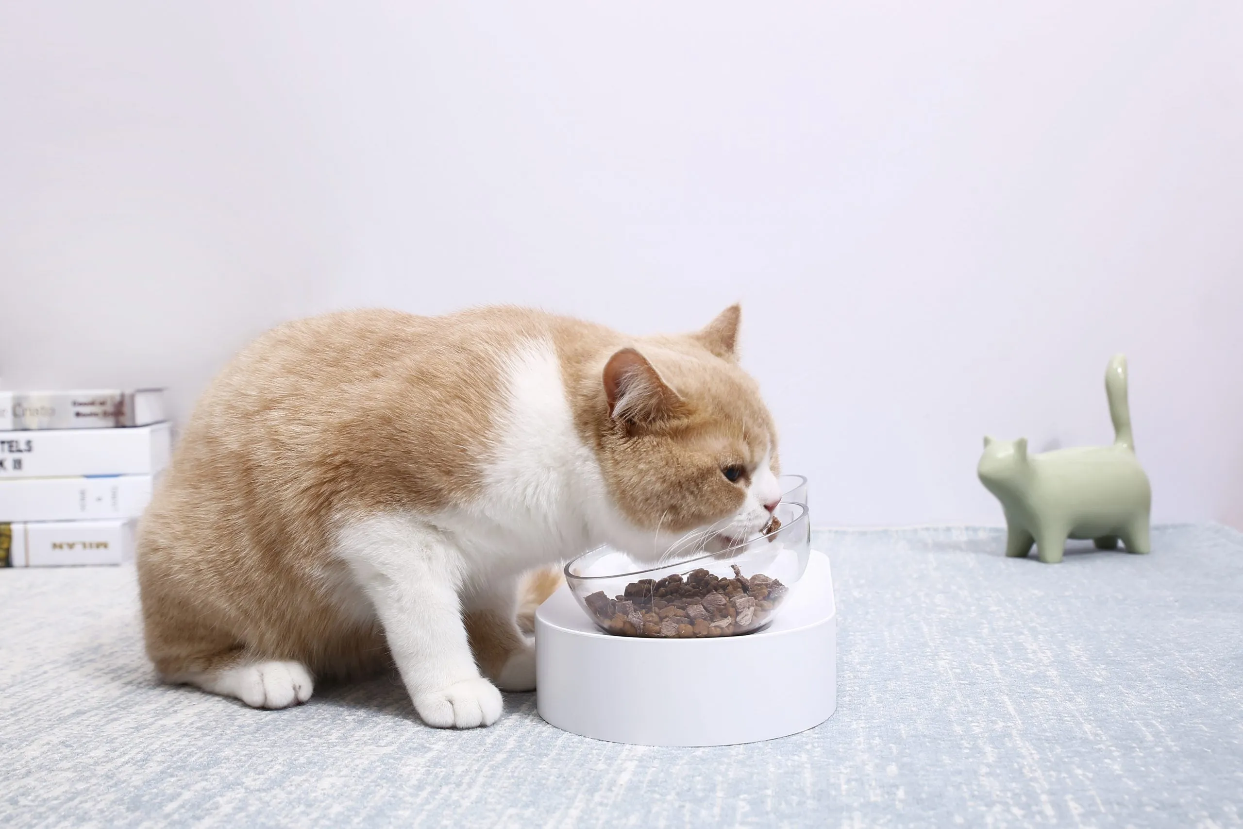 PETKIT Adjustable Feeding Bowl [Double]