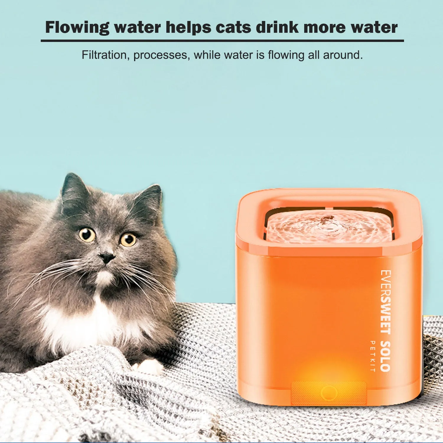 Petkit Eversweet Solo Pet Dog Cat Smart Water Dispenser Drinking Fountain feeder Bowl Ultra-Silent - orange