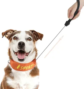 PETLESO Dog Collars with Retractable Leash, 2 in 1 Dog Collar with Built-in Retractable Leash for Medium to Large Dogs Outdoor Hiking Walking, Orange L