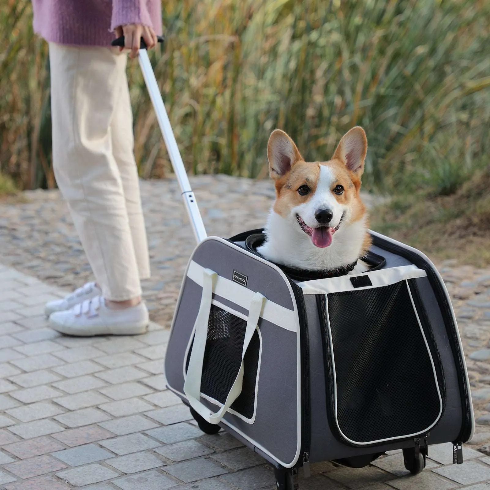 PETSFIT Airline Pet Carrier With Wheels